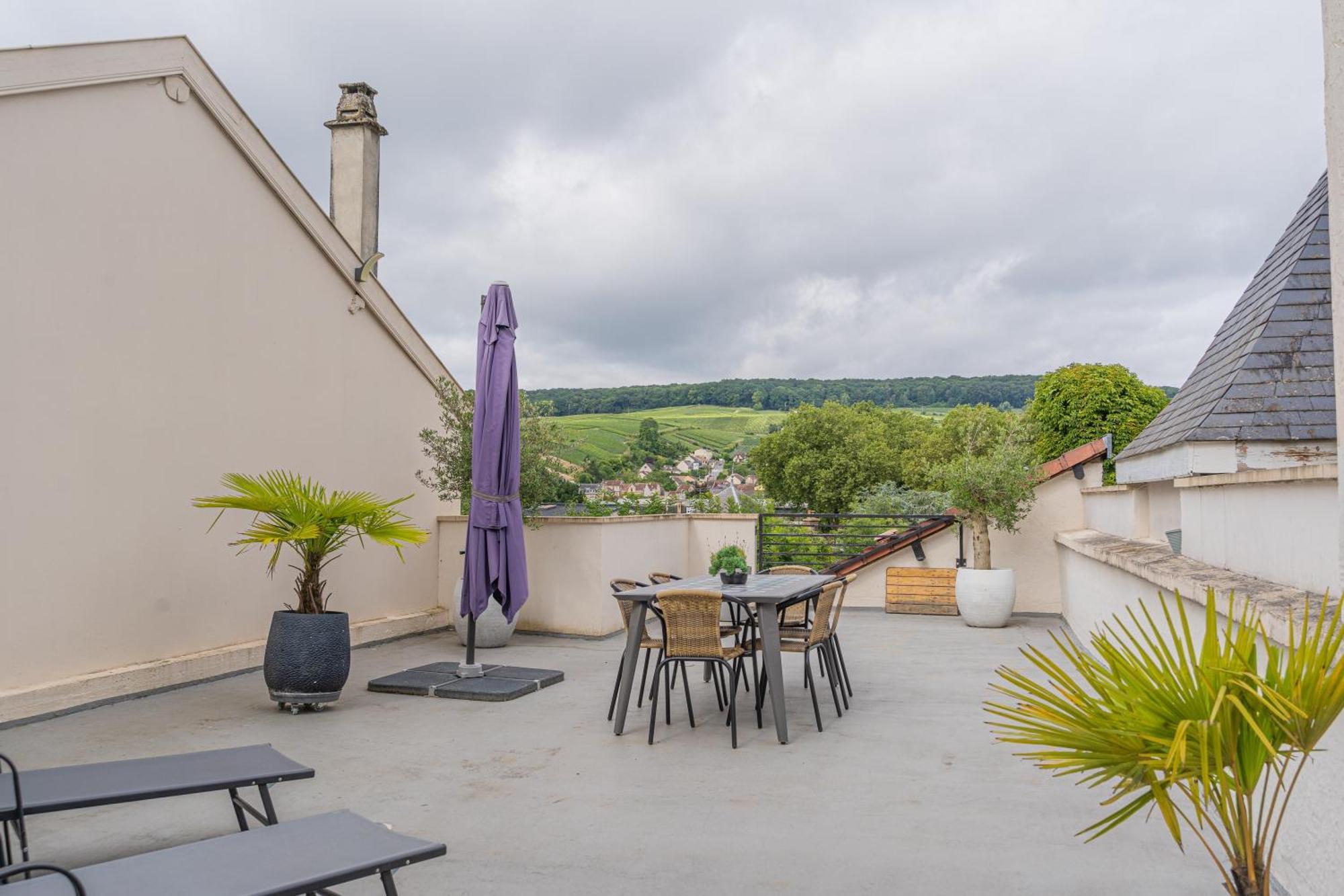 Terrasse 86 - Terrasse & Climatisation - 4-6 Personnes - Bnb Epernay Luaran gambar